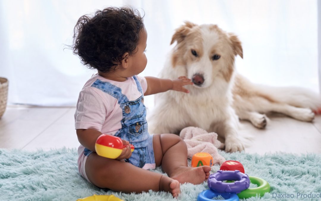 Hund und Baby – wie sie zum Dream-Team werden